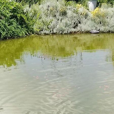 Domaine Le Lanis Chambre D'Hotes Piscine Spa Privatise Sur Reservation Saint-Girons  Bagian luar foto