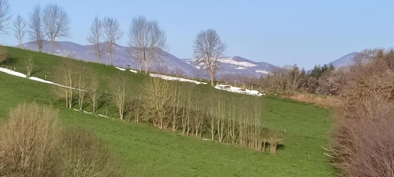 Domaine Le Lanis Chambre D'Hotes Piscine Spa Privatise Sur Reservation Saint-Girons  Bagian luar foto