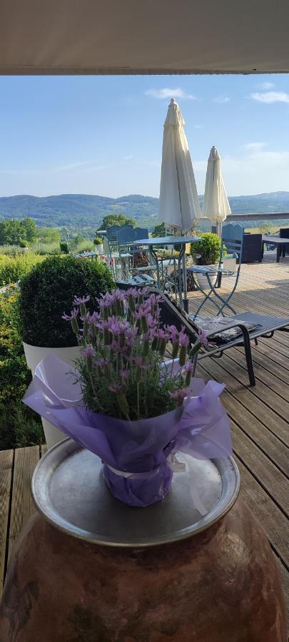 Domaine Le Lanis Chambre D'Hotes Piscine Spa Privatise Sur Reservation Saint-Girons  Bagian luar foto