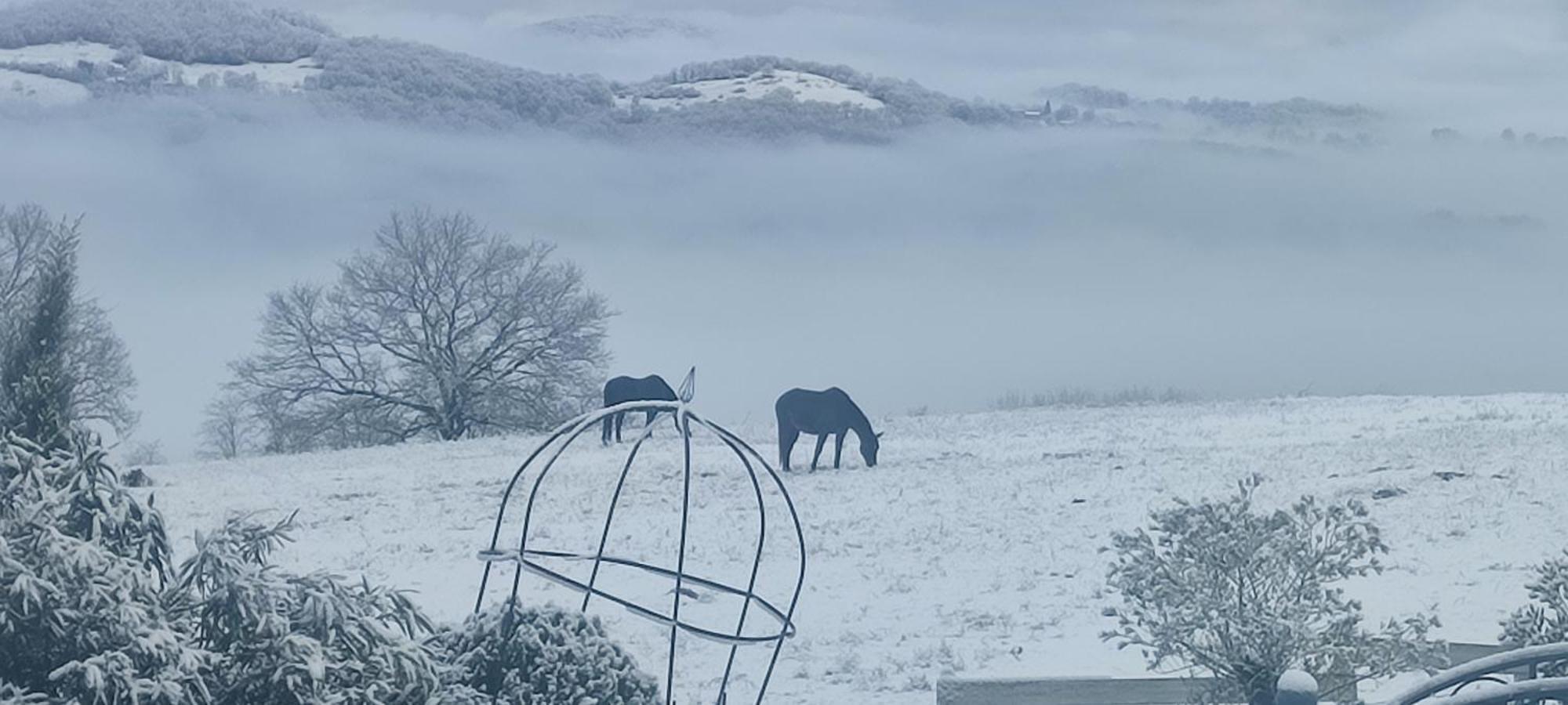 Domaine Le Lanis Chambre D'Hotes Piscine Spa Privatise Sur Reservation Saint-Girons  Bagian luar foto
