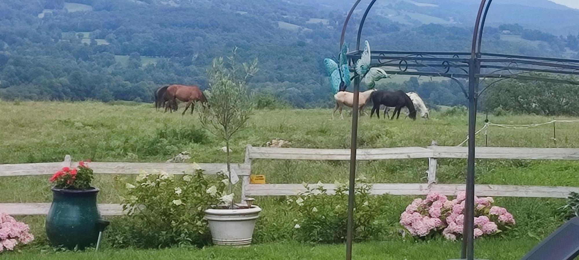 Domaine Le Lanis Chambre D'Hotes Piscine Spa Privatise Sur Reservation Saint-Girons  Bagian luar foto