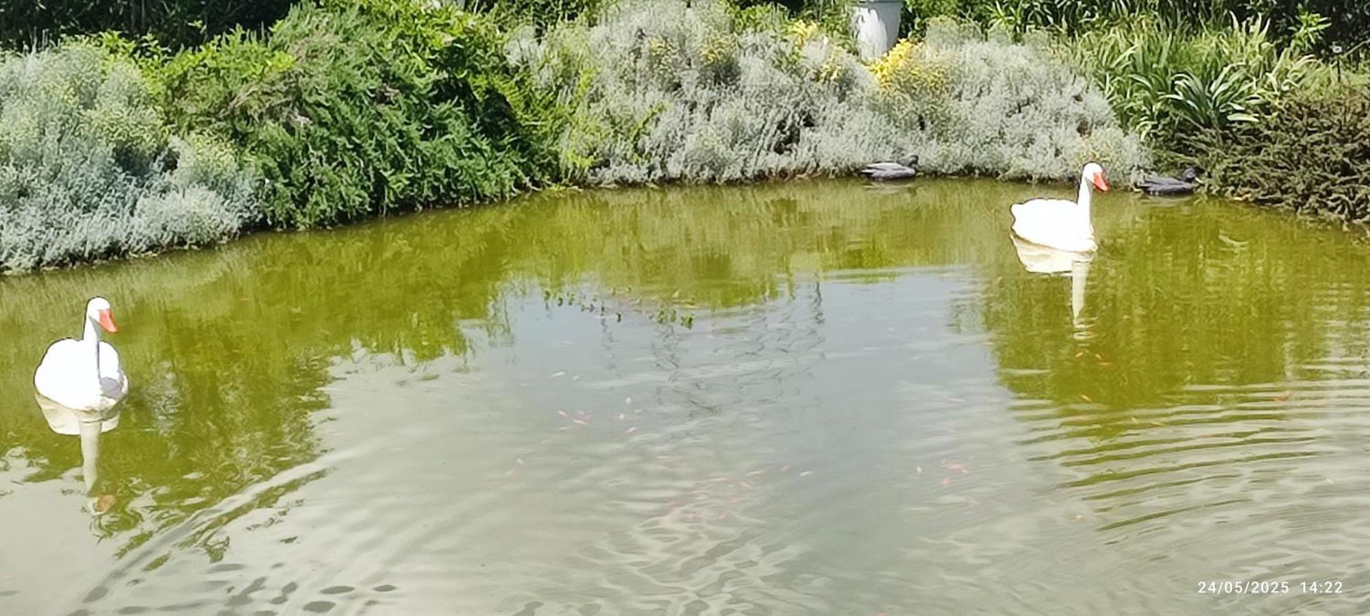 Domaine Le Lanis Chambre D'Hotes Piscine Spa Privatise Sur Reservation Saint-Girons  Bagian luar foto